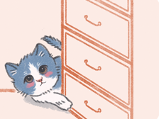 猫咪到家后的十大常见问题正确处理方法